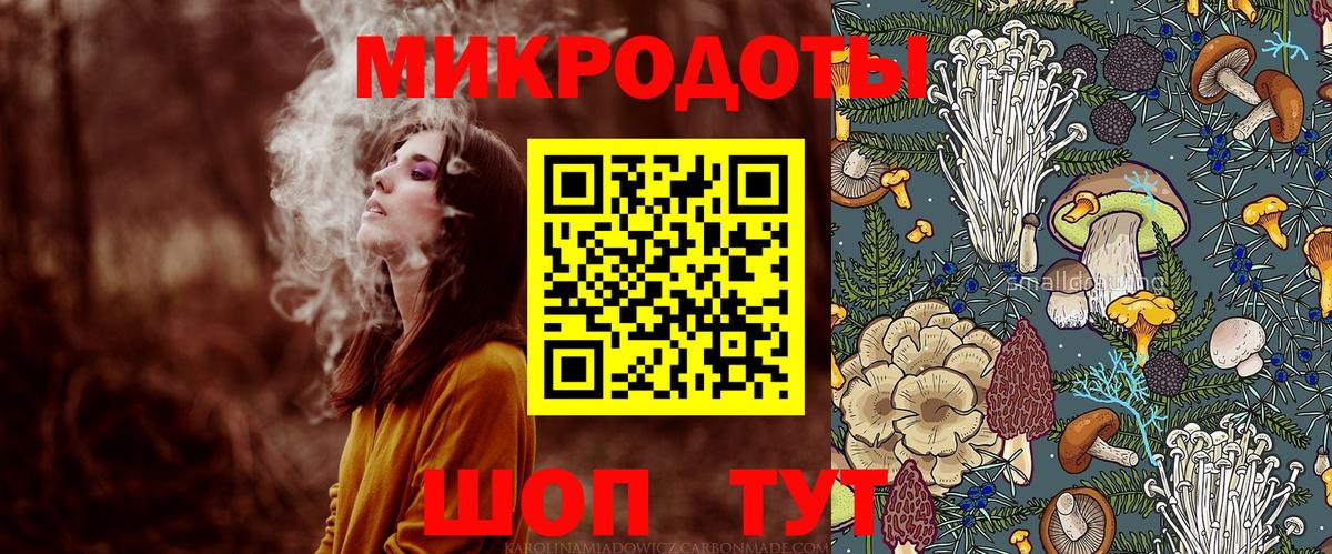 Псилоцибиновые грибы Psilocybe Сосновый Бор