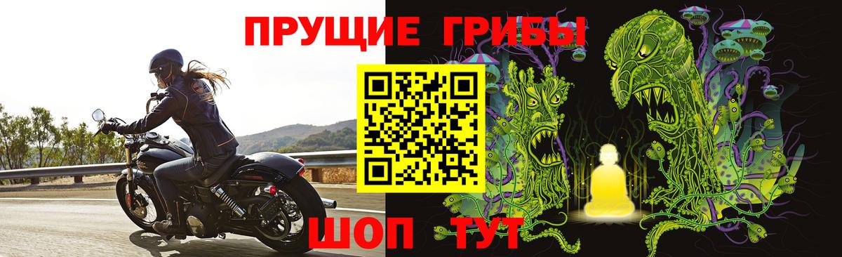 Псилоцибиновые грибы Magic Shrooms  Вход с VPN  Сосновый Бор  Галлюциногенные грибы прущие грибы 